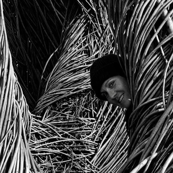 Meet your Posher, Raven - Picture 1 of 1